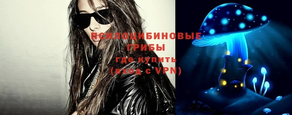 Альфа ПВП Осинники